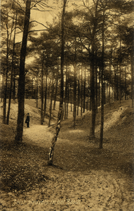 16344 Gezicht op een pad met stuifduinen en naaldbomen in het Zeister Bosch te Zeist.